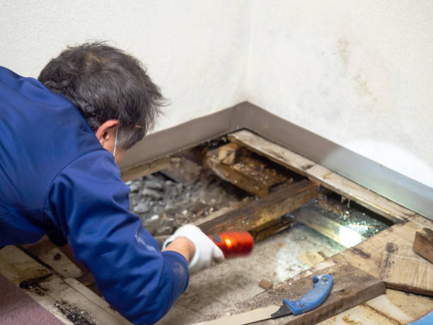 Best Crawl Space Mold Removal  in Mount Carmel, PA
