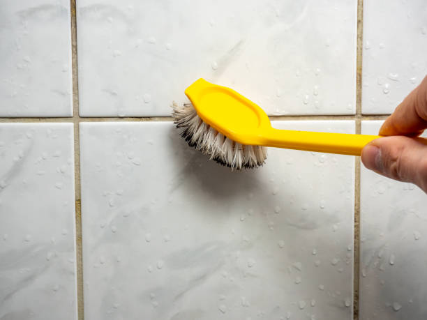 Best Affordable Mold Removal  in Mount Carmel, PA