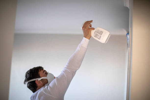 Best Office Mold Removal Services  in Mount Carmel, PA