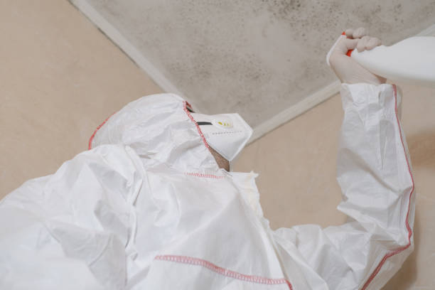 Best Fast Mold Removal  in Mount Carmel, PA