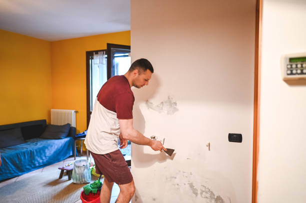 Best Mold Removal Process  in Mount Carmel, PA