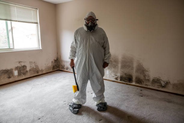 Best Attic Mold Removal  in Mount Carmel, PA